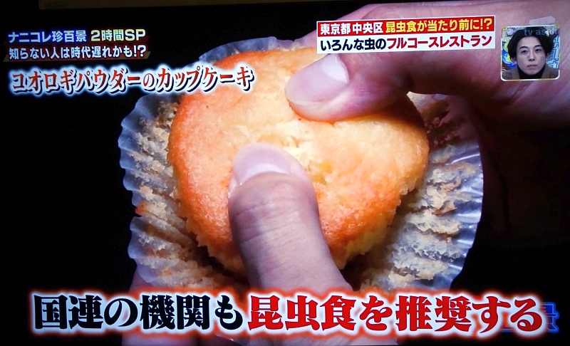 すでにテレビでは昆虫食プロパガンダ祭り
